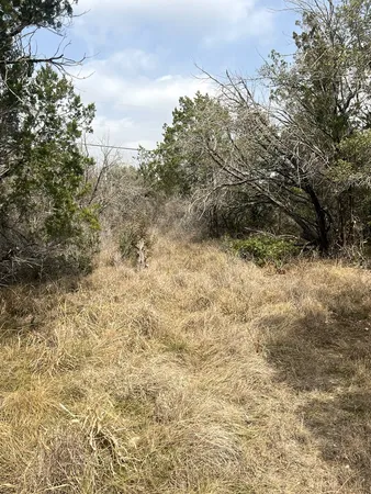 a view of a yard with trees