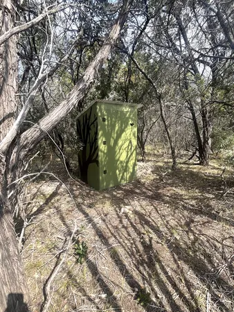 a view of a yard with plants and trees