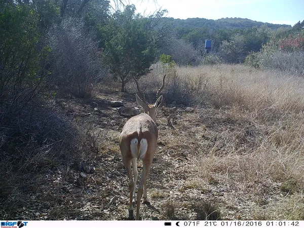 a view of a fireplace