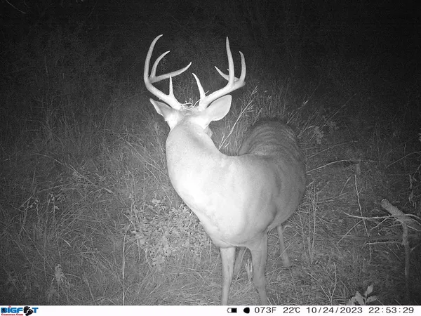 a view of a dry yard