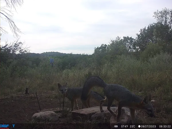 a view of a bathroom