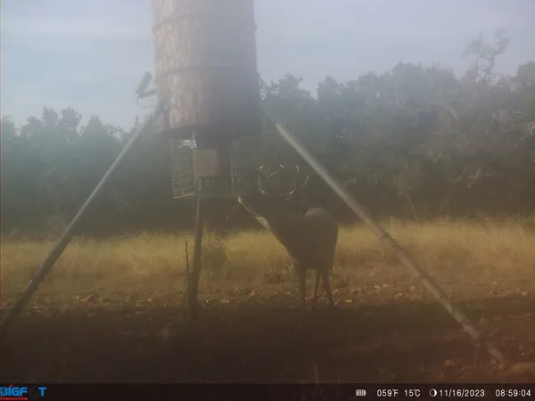 a view of a backyard of the house