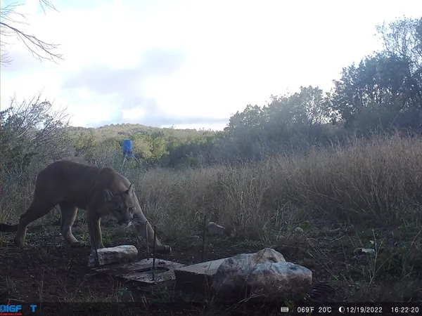a view of a lake in between the house and outdoor space