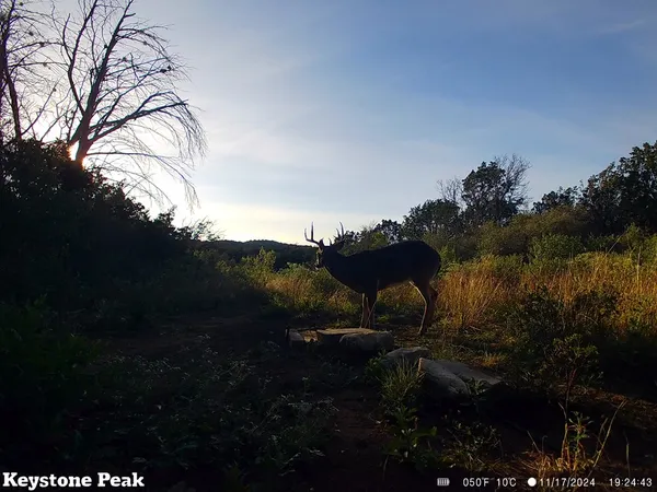 $110,000 | 774 Brushy Creek, Sabinal, TX 78881