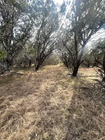a view of snow on a road