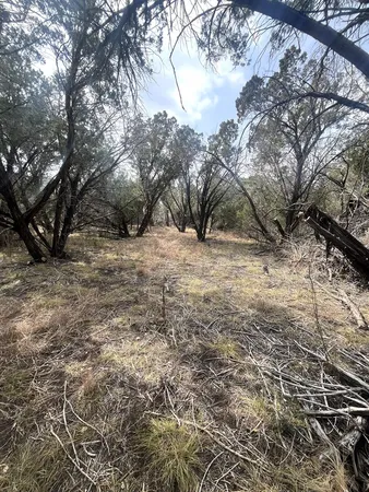 a view of dirt yard with a tree