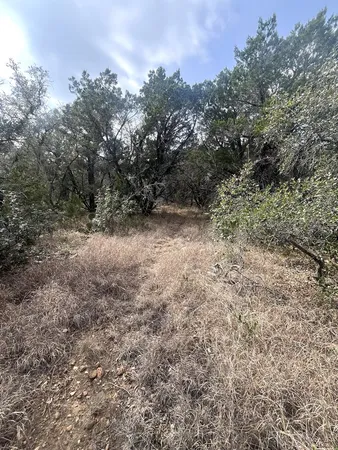 a view of a yard with a tree