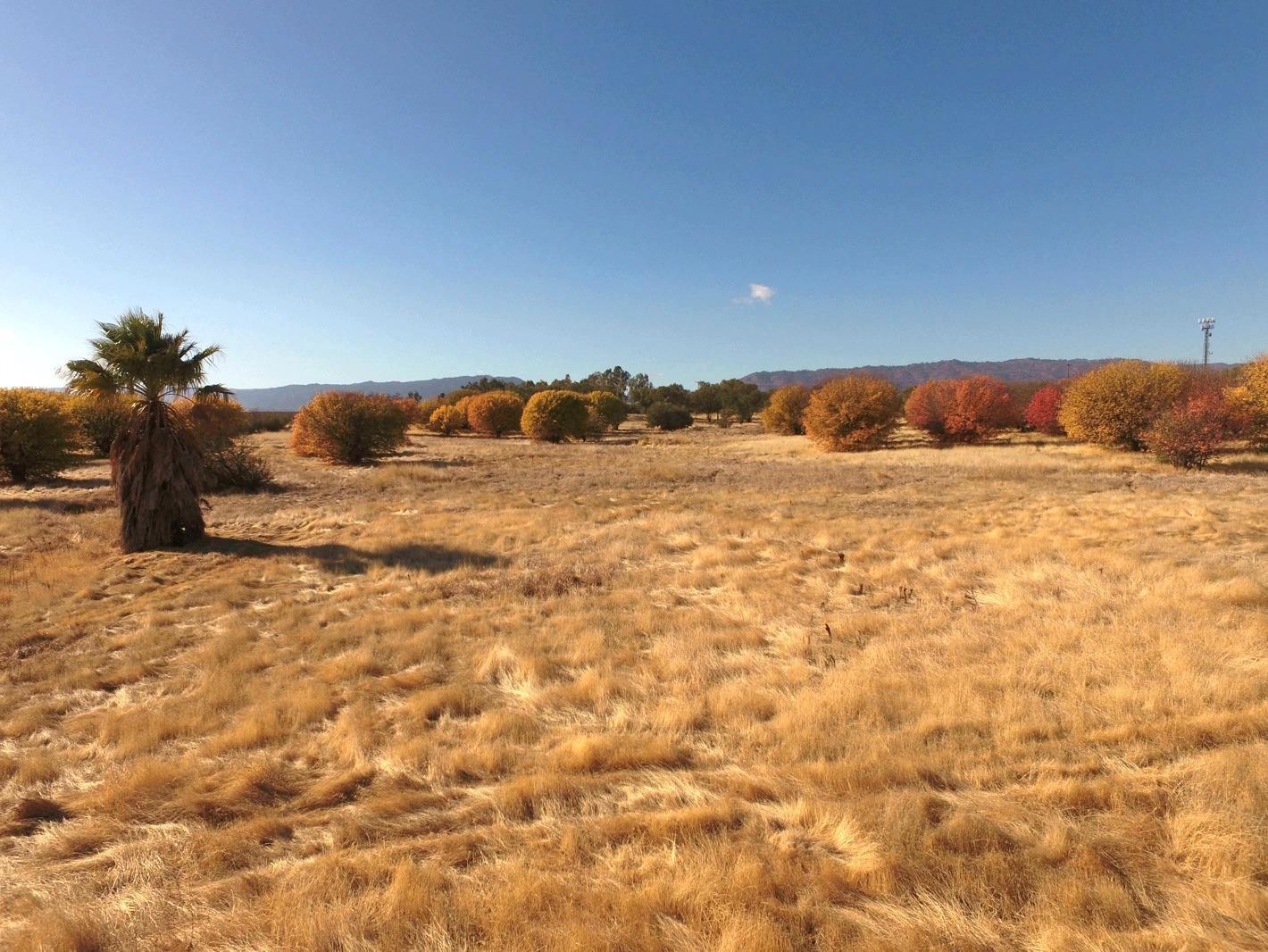 27643 County Road 88 Winters, CA 95694 - Photo 15 of 25