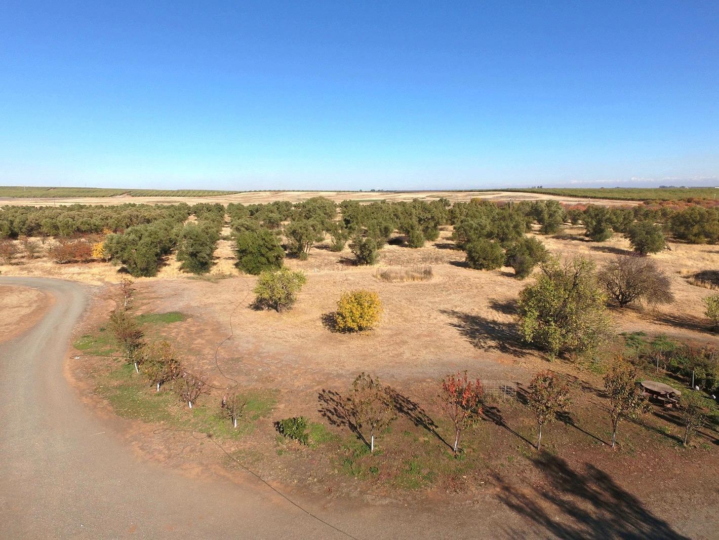 27643 County Road 88 Winters, CA 95694 - Photo 4 of 25