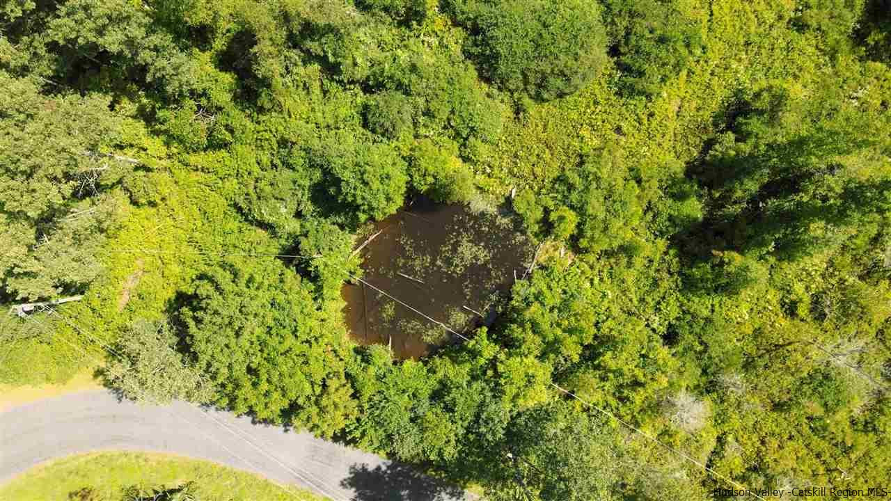 Ballard Road Denver, NY 12421 - Photo 2 of 8 a view of a garden