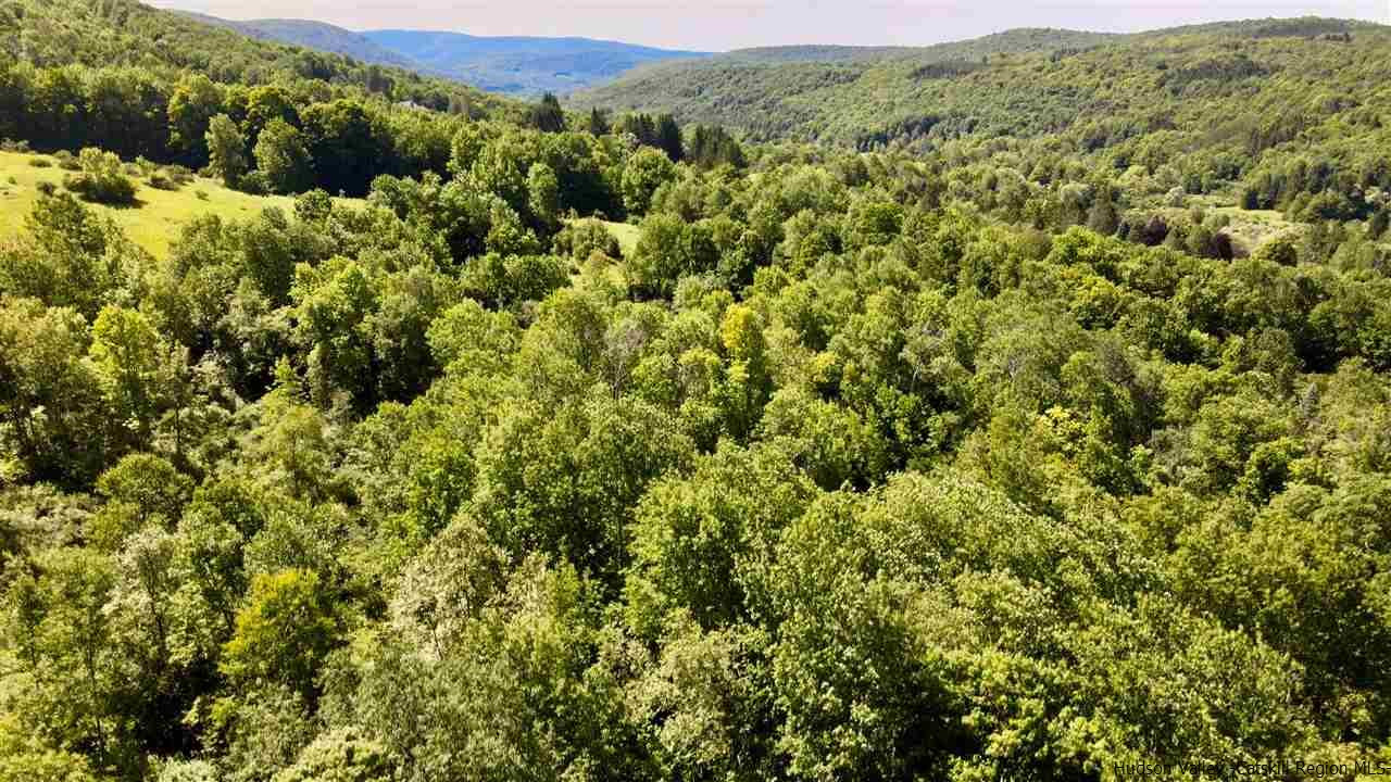 Ballard Road Denver, NY 12421 - Photo 3 of 8 a view of a forest with a street
