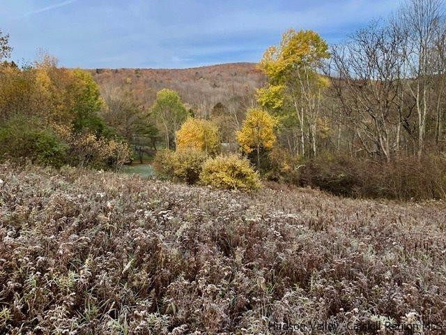 Ballard Road Denver, NY 12421 - Photo 6 of 8 a view of a field with a tree in the background