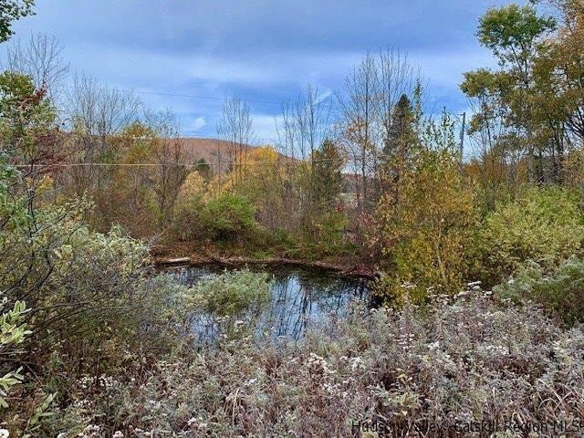 Ballard Road Denver, NY 12421 - Photo 7 of 8 a view of a yard