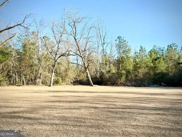 a view of a house with a yard and trees