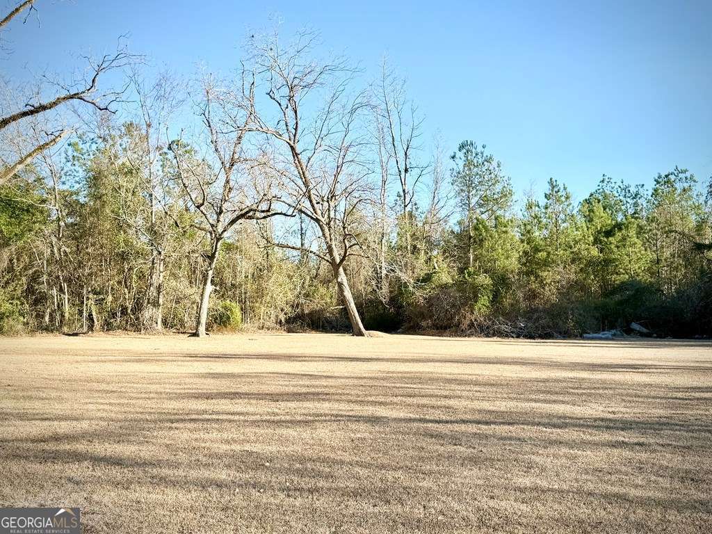 201 Burketts Ferry Road Hazlehurst, GA 31539 - Photo 4 of 52 a view of a house with a yard and trees