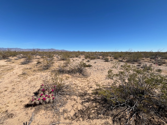 207-17-166a Cherry Road Yucca, AZ 86438 - Photo 6 of 15