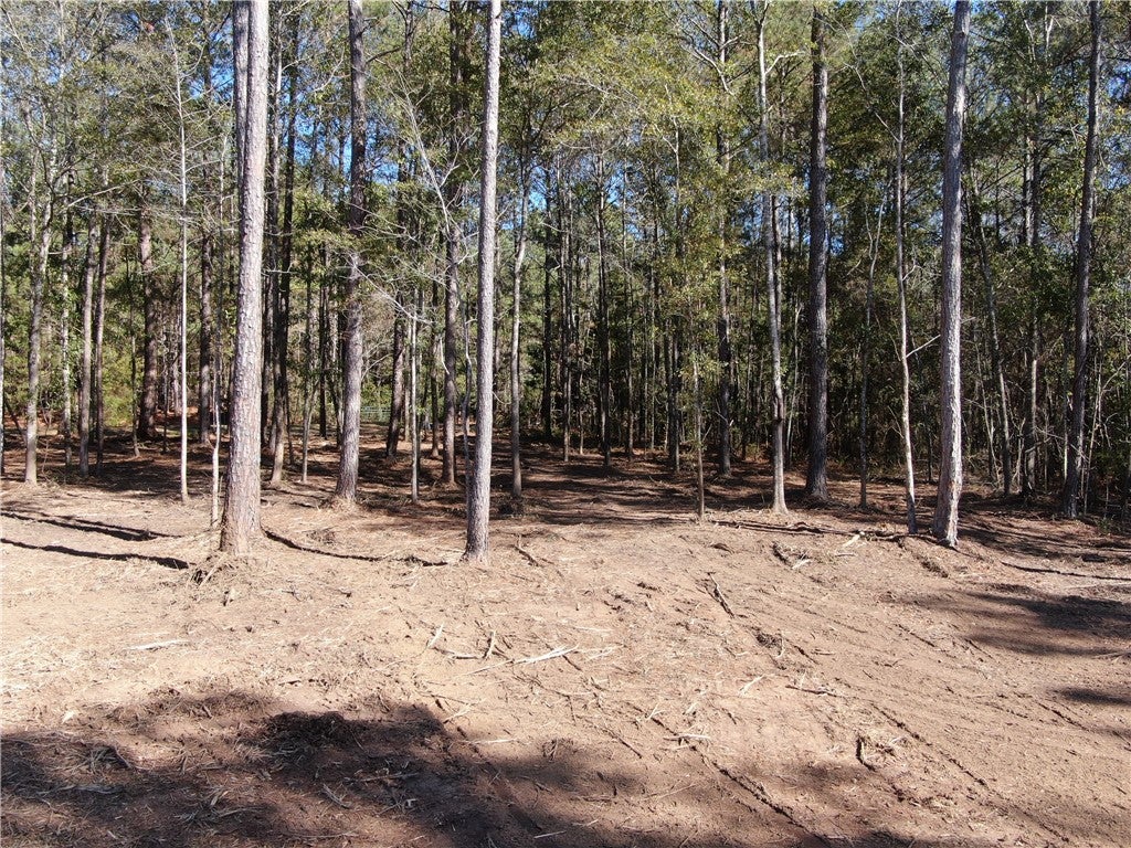 3680 Oak Bowery Road Opelika, AL 36801 - Photo 3 of 7 Gallery Image 3