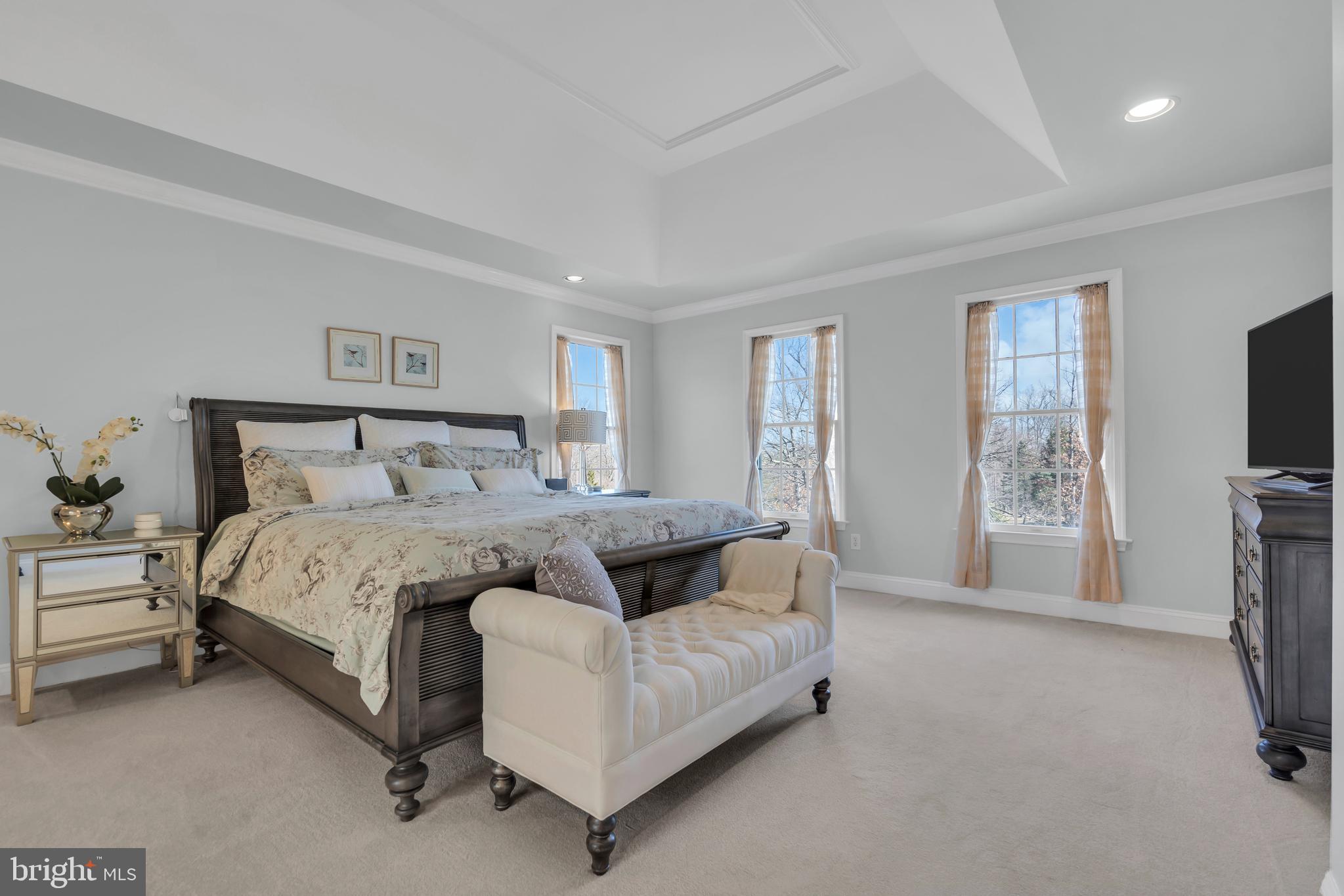 317 Christopher Drive Princeton, NJ 08540 - Photo 34 of 66 a bedroom with a bed couch tv and a window