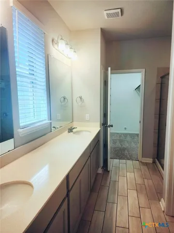 a bathroom with a sink a mirror and a shower
