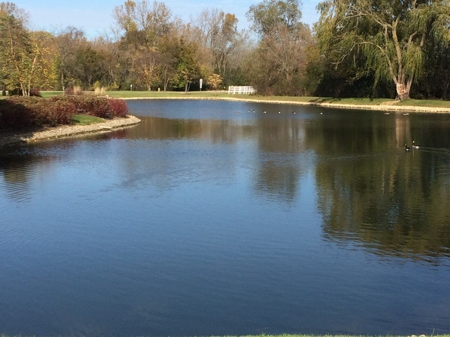 17929 West Pond Ridge Circle Gurnee, IL 60031 - Photo 28 of 28 a view of swimming pool with outdoor space