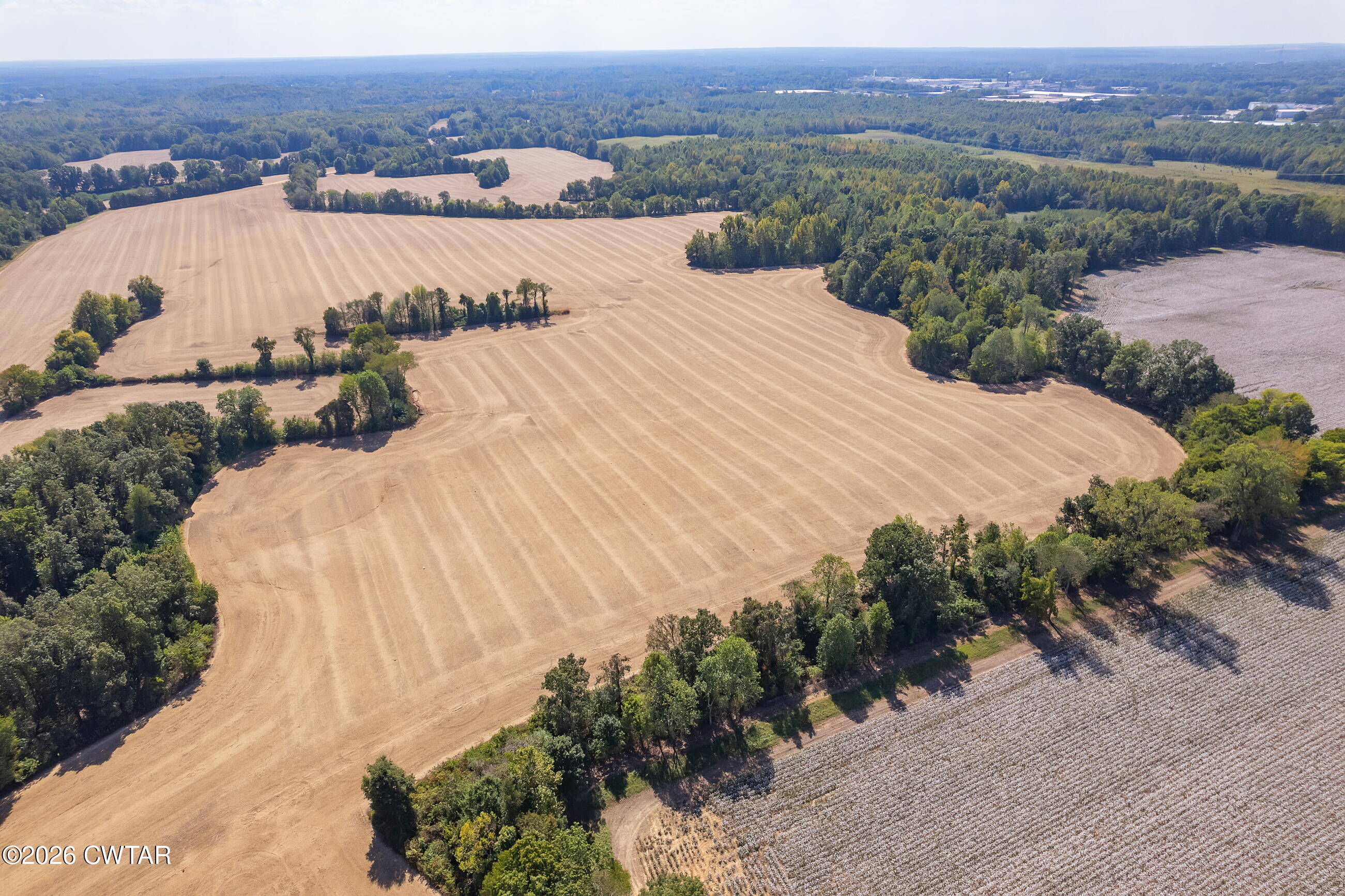 2 Cotton Grove Road Jackson, TN 38305 - Photo 8 of 9 2-2- Resized n