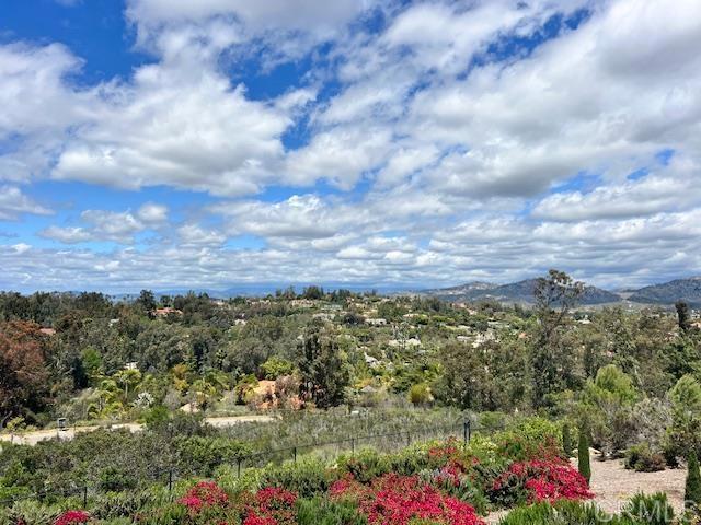 13495 Del Poniente Road Poway, CA 92064 - Photo 55 of 60 a view of a bunch of flowers and trees