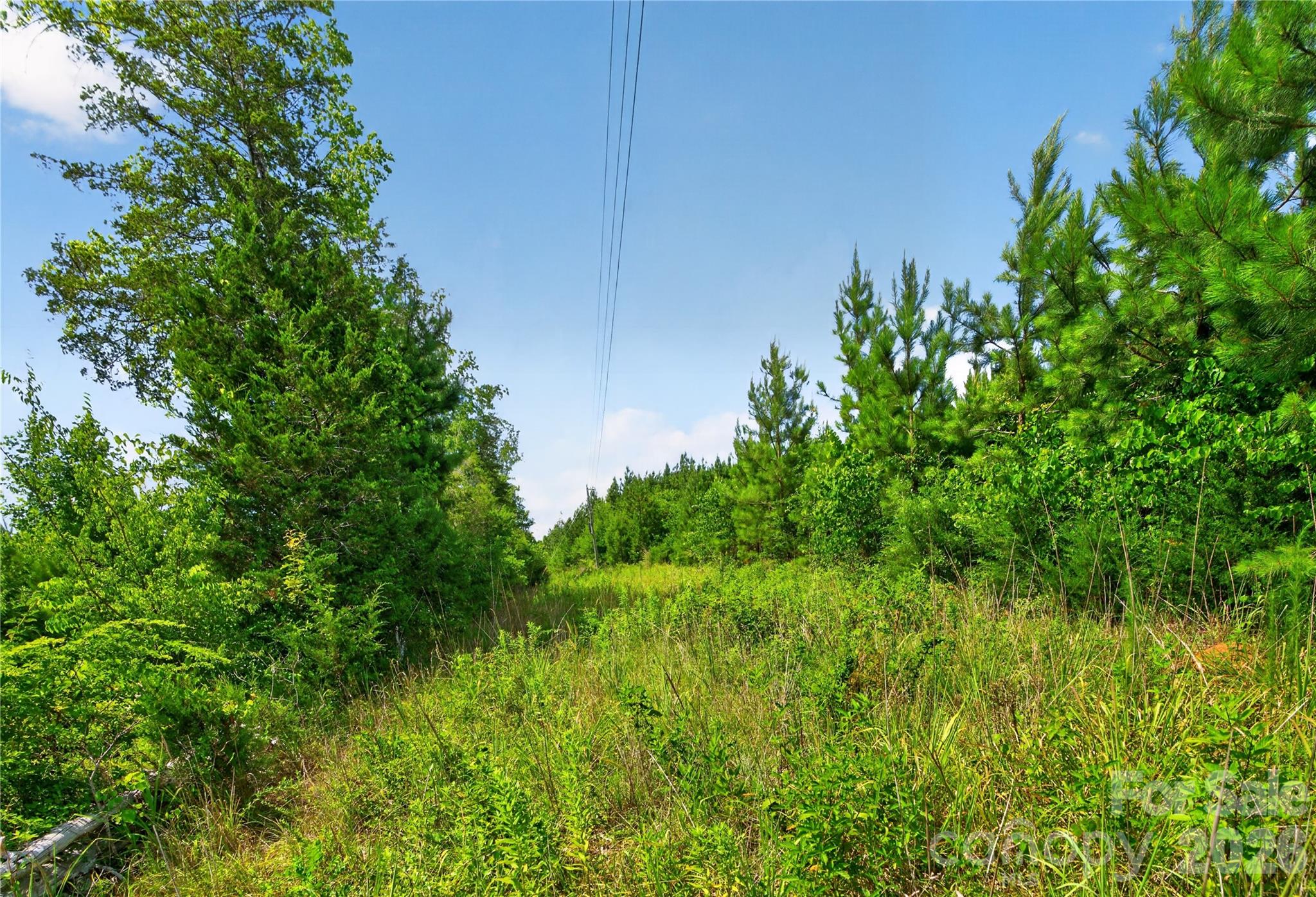 0 Blanton Road, Unit 2 Sharon, SC 29742 - Photo 37 of 43