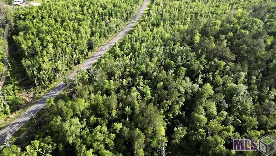 27170 Blood River Road Springfield, LA 70462 - Photo 2 of 4
