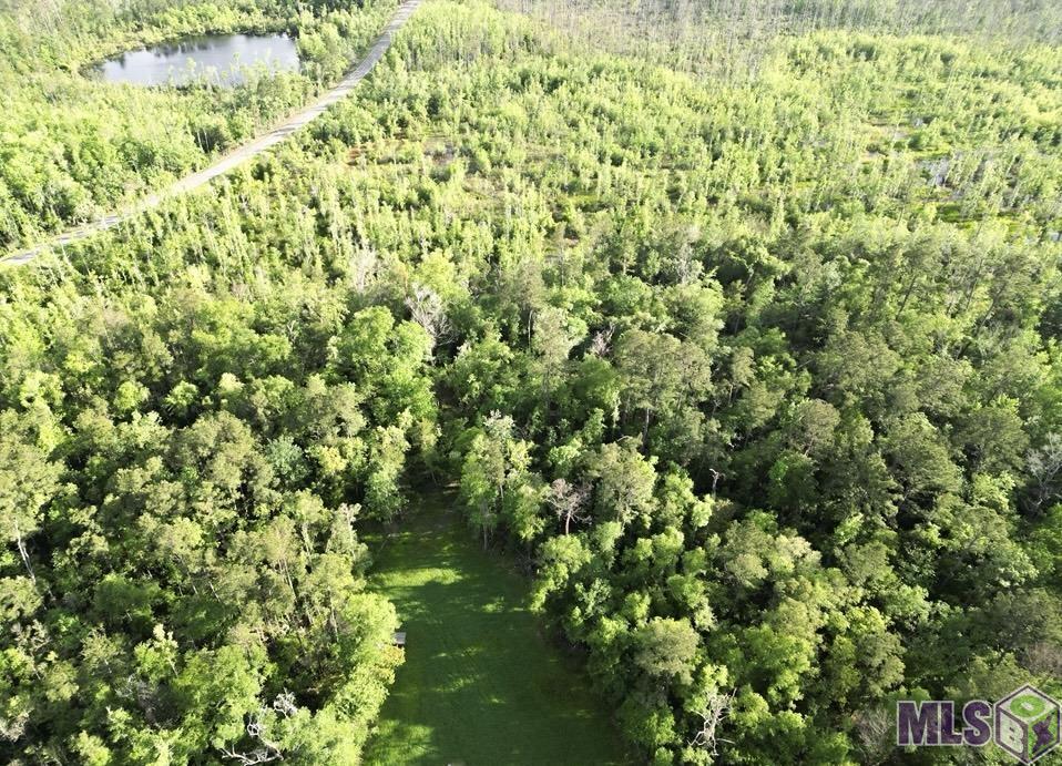 27170 Blood River Road Springfield, LA 70462 - Photo 3 of 4