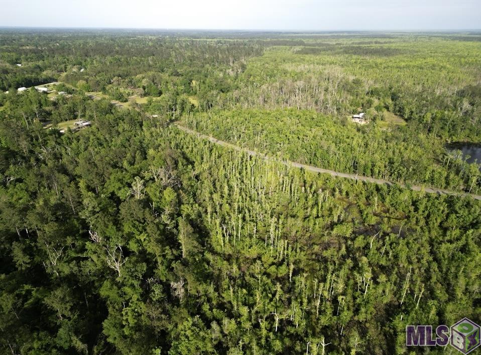 27170 Blood River Road Springfield, LA 70462 - Photo 4 of 4