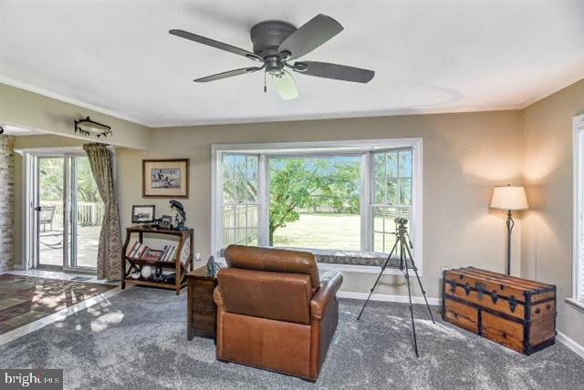 596 Province Line Road Allentown, NJ 08501 - Photo 6 of 50 a living room with furniture and a window