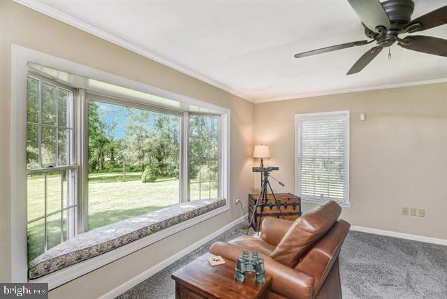 596 Province Line Road Allentown, NJ 08501 - Photo 7 of 50 a living room with furniture and floor to ceiling windows
