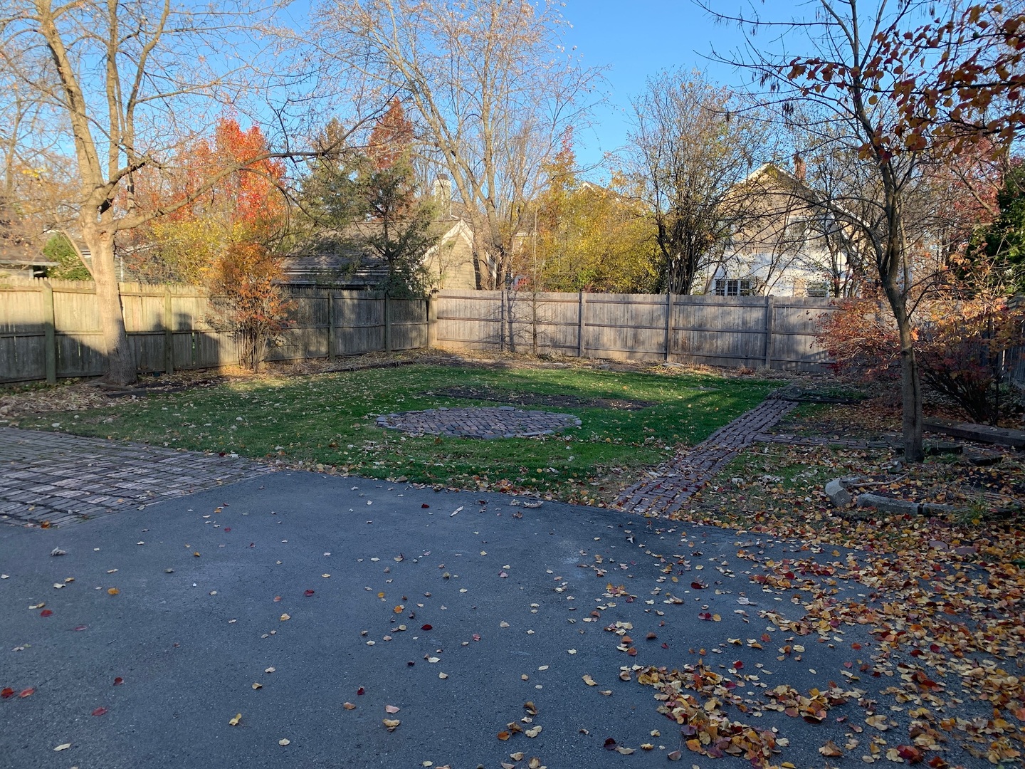 879 Willow Road Winnetka, IL 60093 - Photo 25 of 29 a view of a yard with a tree