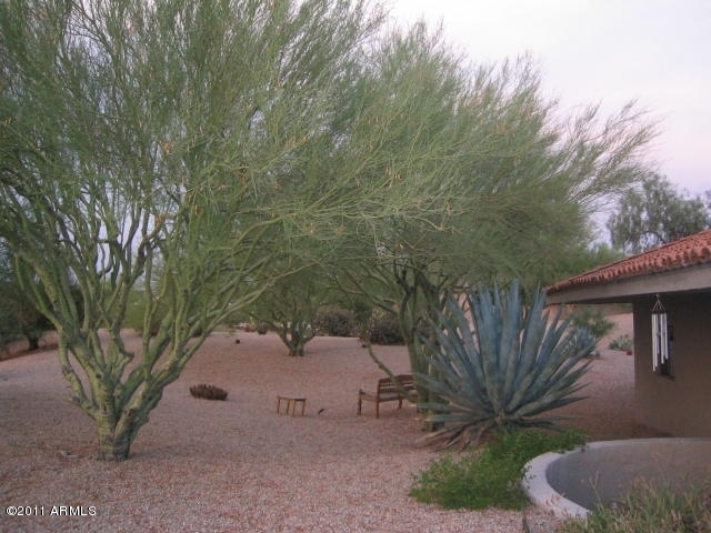 36642 Romping Road Carefree, AZ 85377 - Photo 14 of 19 backyard