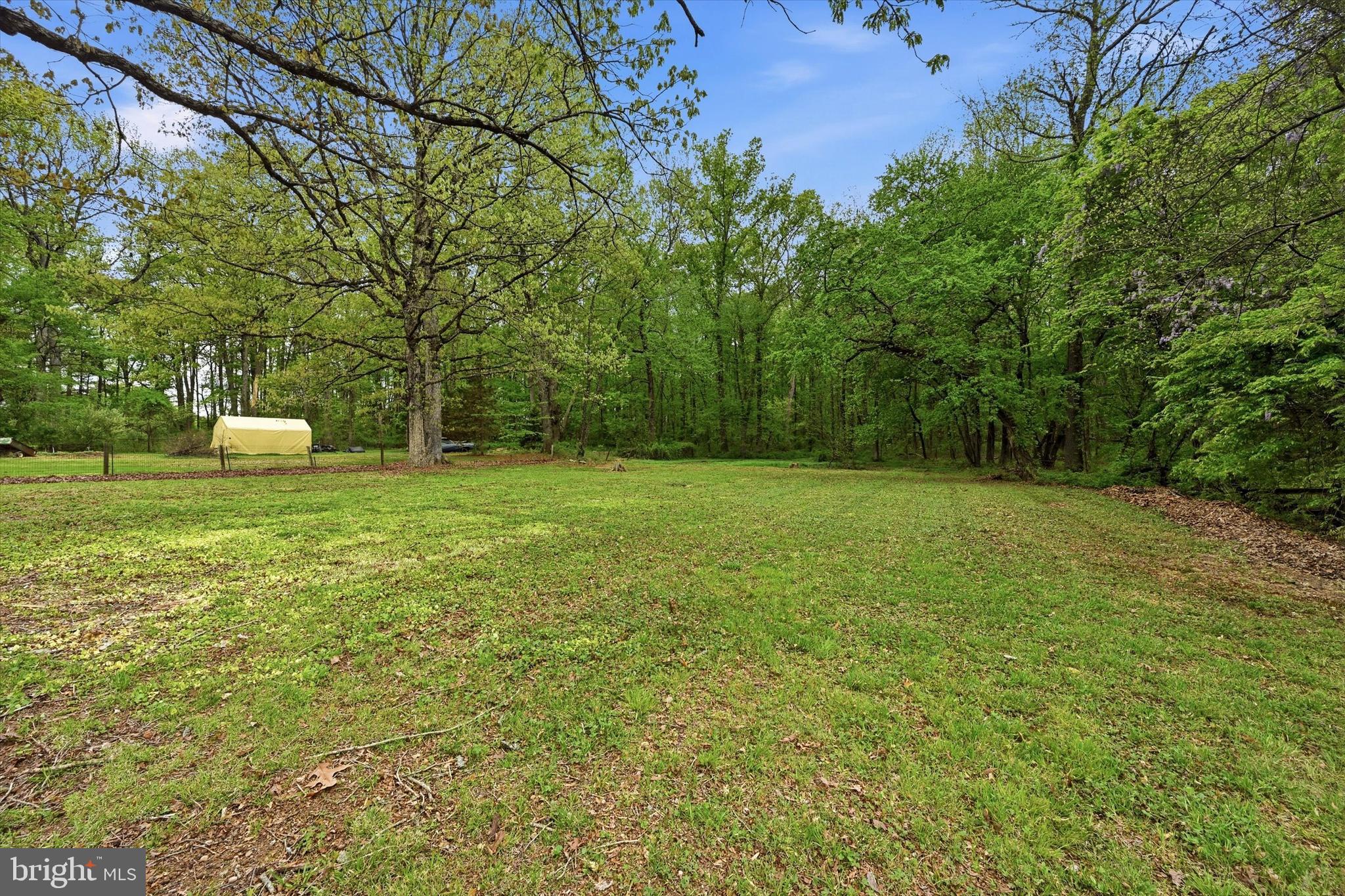 137 Maloney Road Elkton, MD 21921 - Photo 35 of 37 Massive Rear Backyard