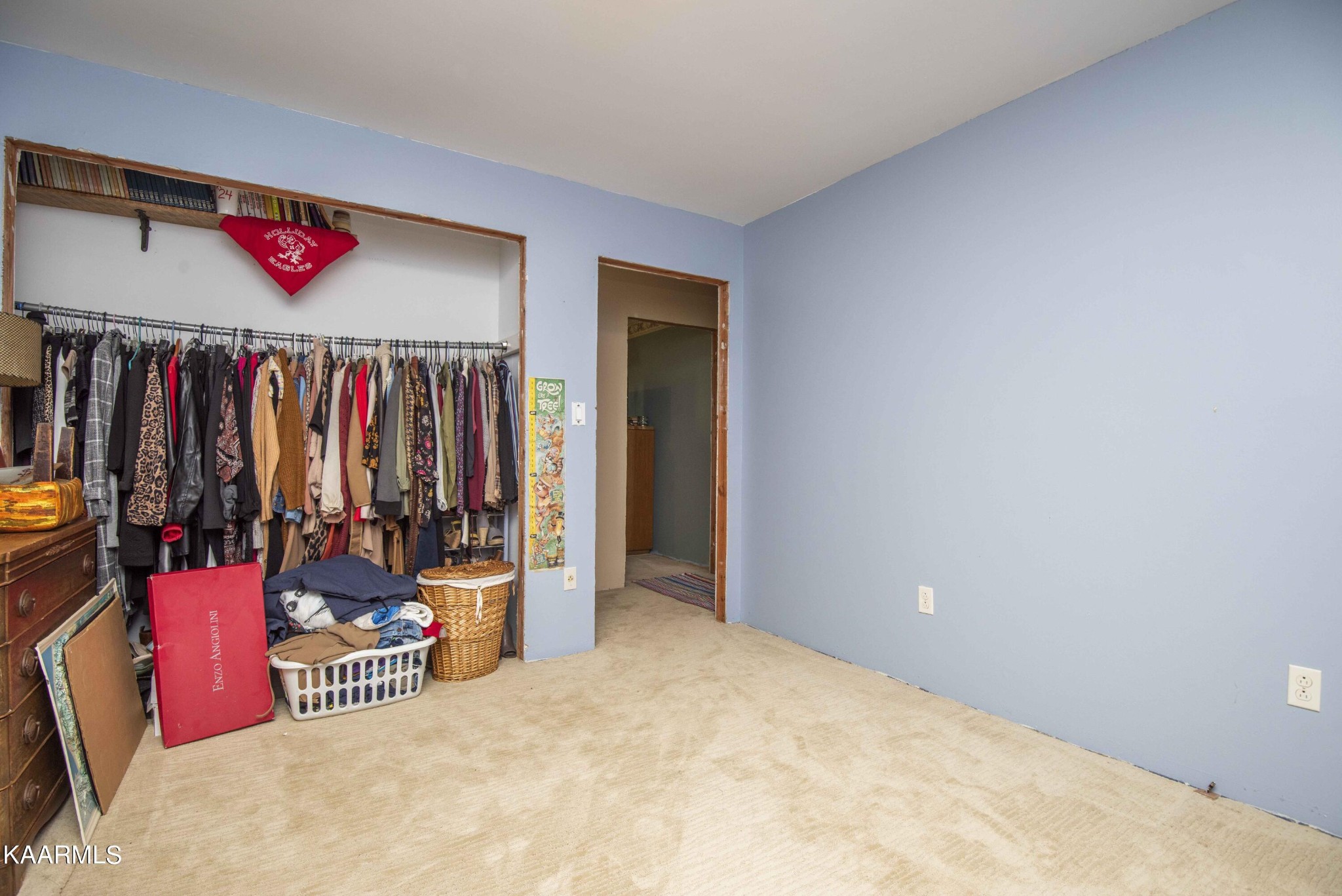 1025 Cooper Road Strawberry Plains, TN 37871 - Photo 16 of 51 Gallery Image 16