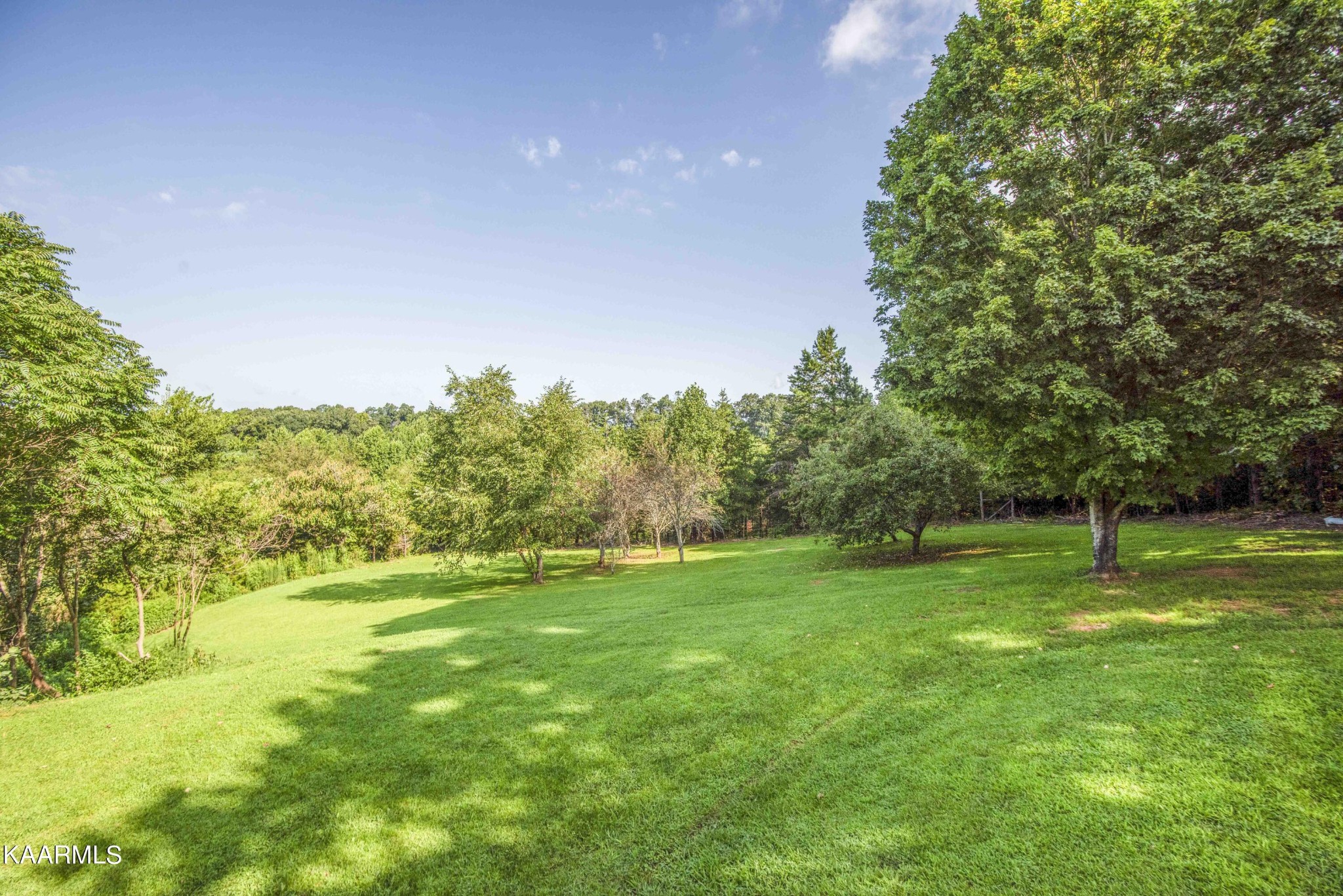 1025 Cooper Road Strawberry Plains, TN 37871 - Photo 40 of 51 Gallery Image 40