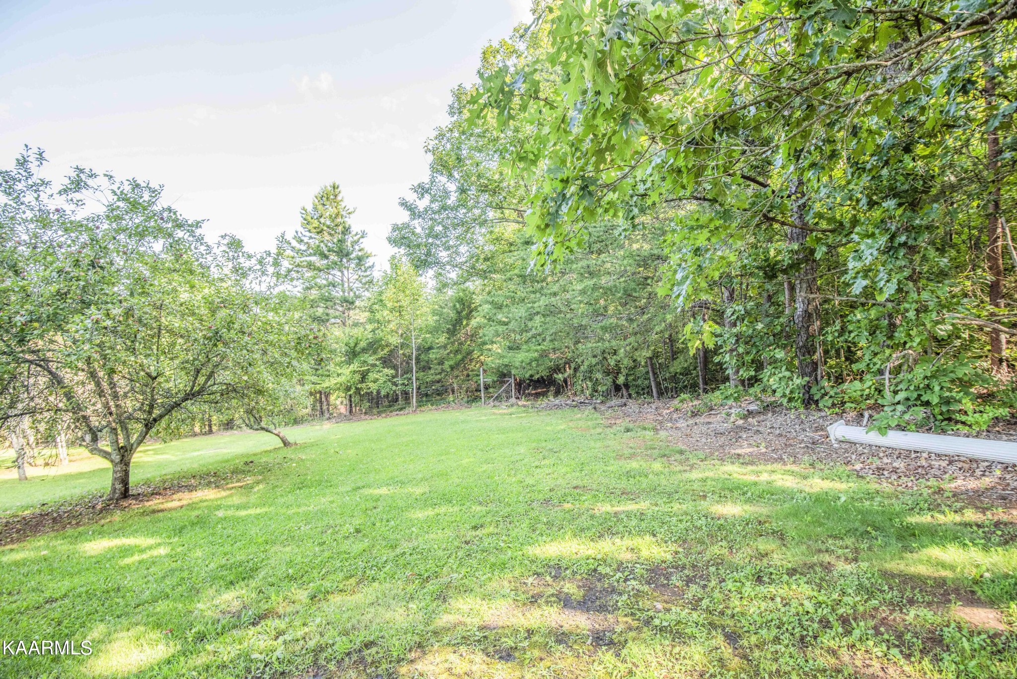 1025 Cooper Road Strawberry Plains, TN 37871 - Photo 42 of 51 Gallery Image 42