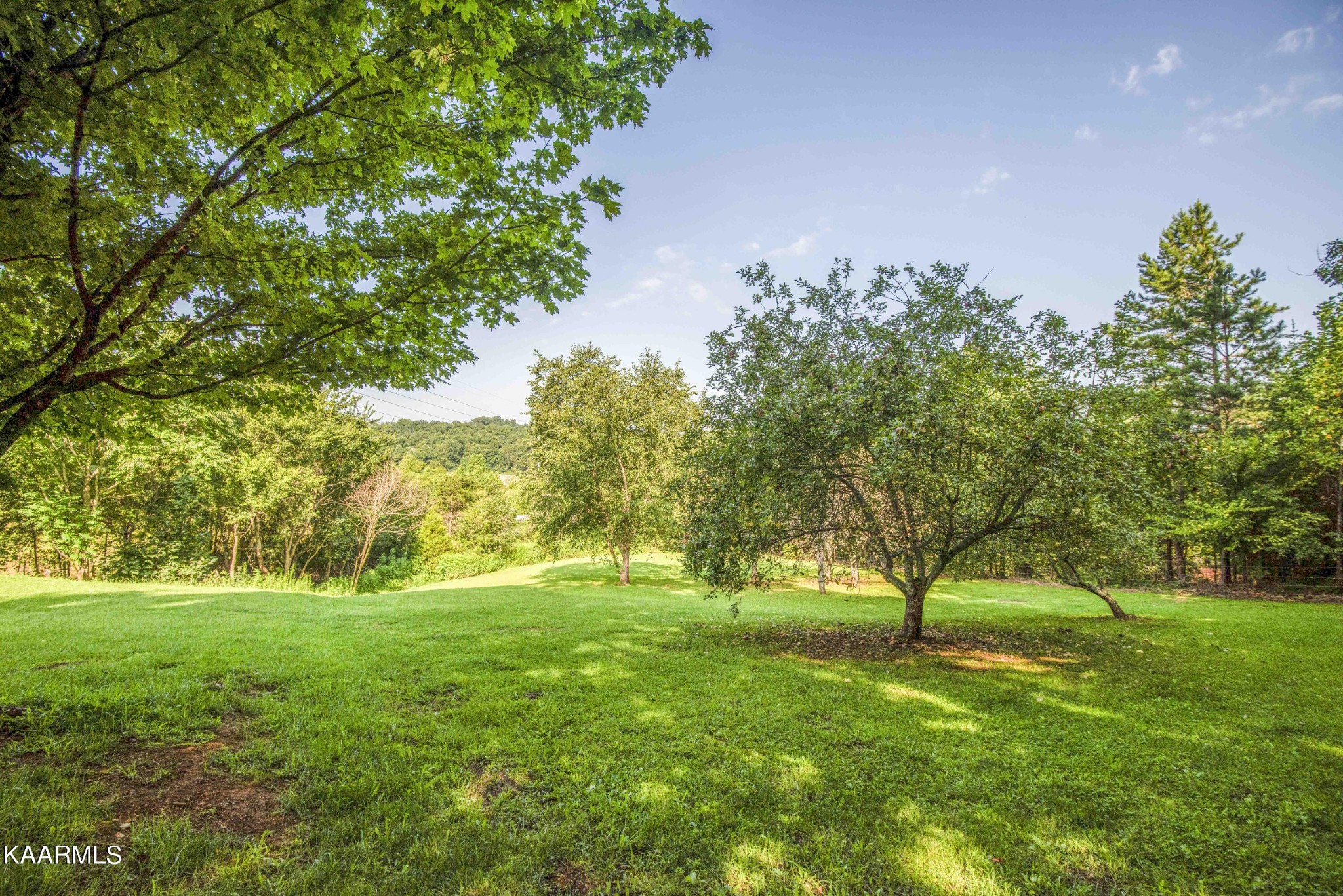 1025 Cooper Road Strawberry Plains, TN 37871 - Photo 43 of 51 Gallery Image 43