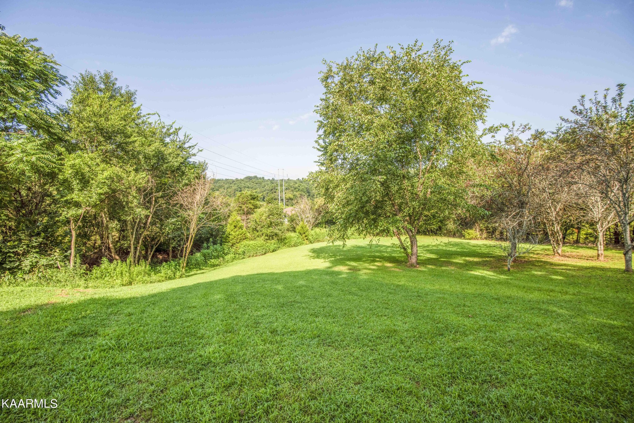 1025 Cooper Road Strawberry Plains, TN 37871 - Photo 45 of 51 Gallery Image 45