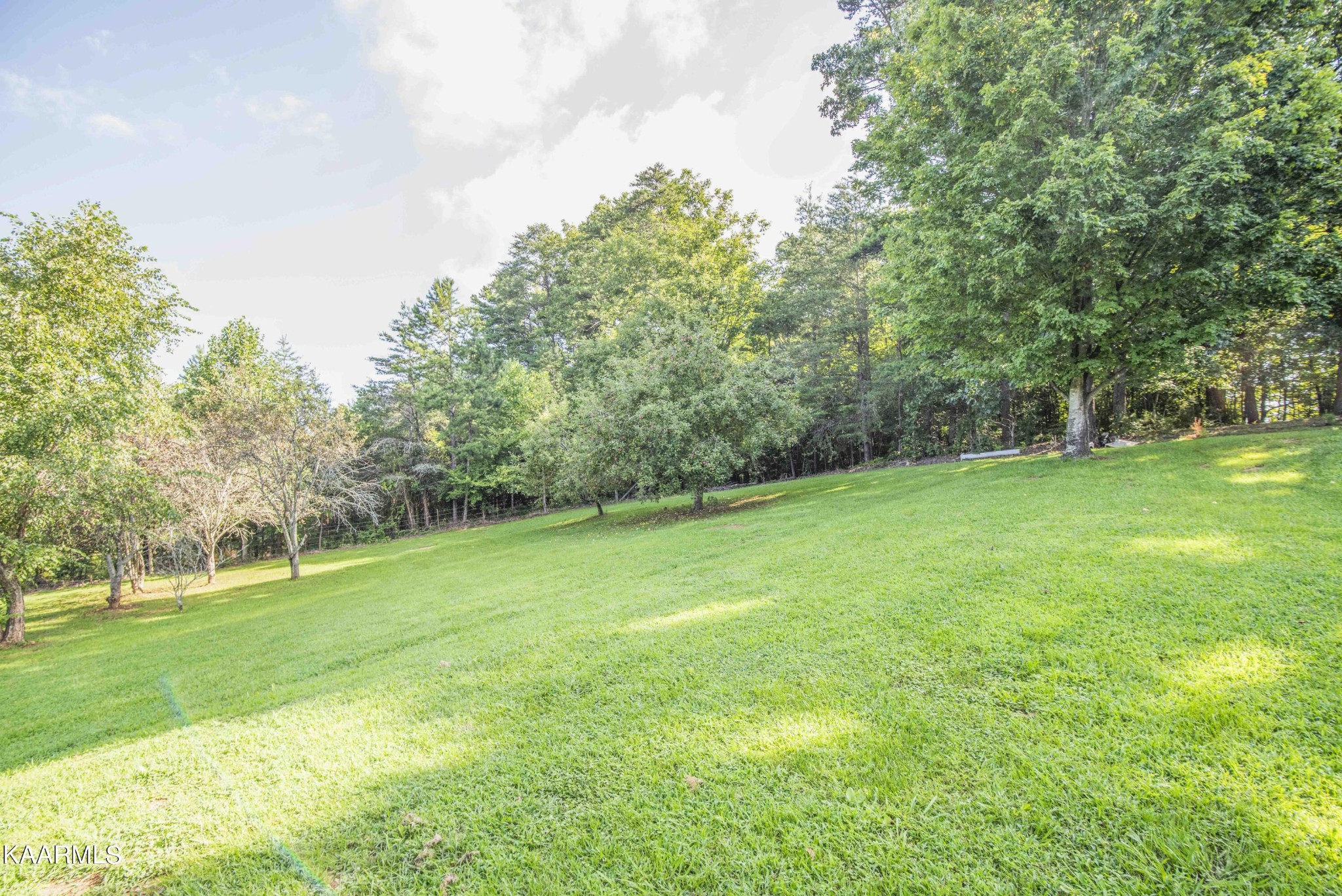 1025 Cooper Road Strawberry Plains, TN 37871 - Photo 47 of 51 Gallery Image 47