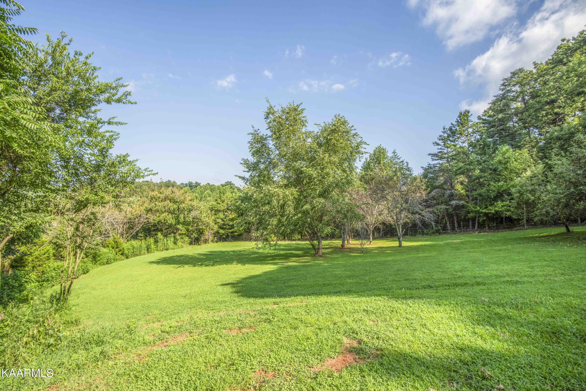 1025 Cooper Road Strawberry Plains, TN 37871 - Photo 48 of 51 Gallery Image 48