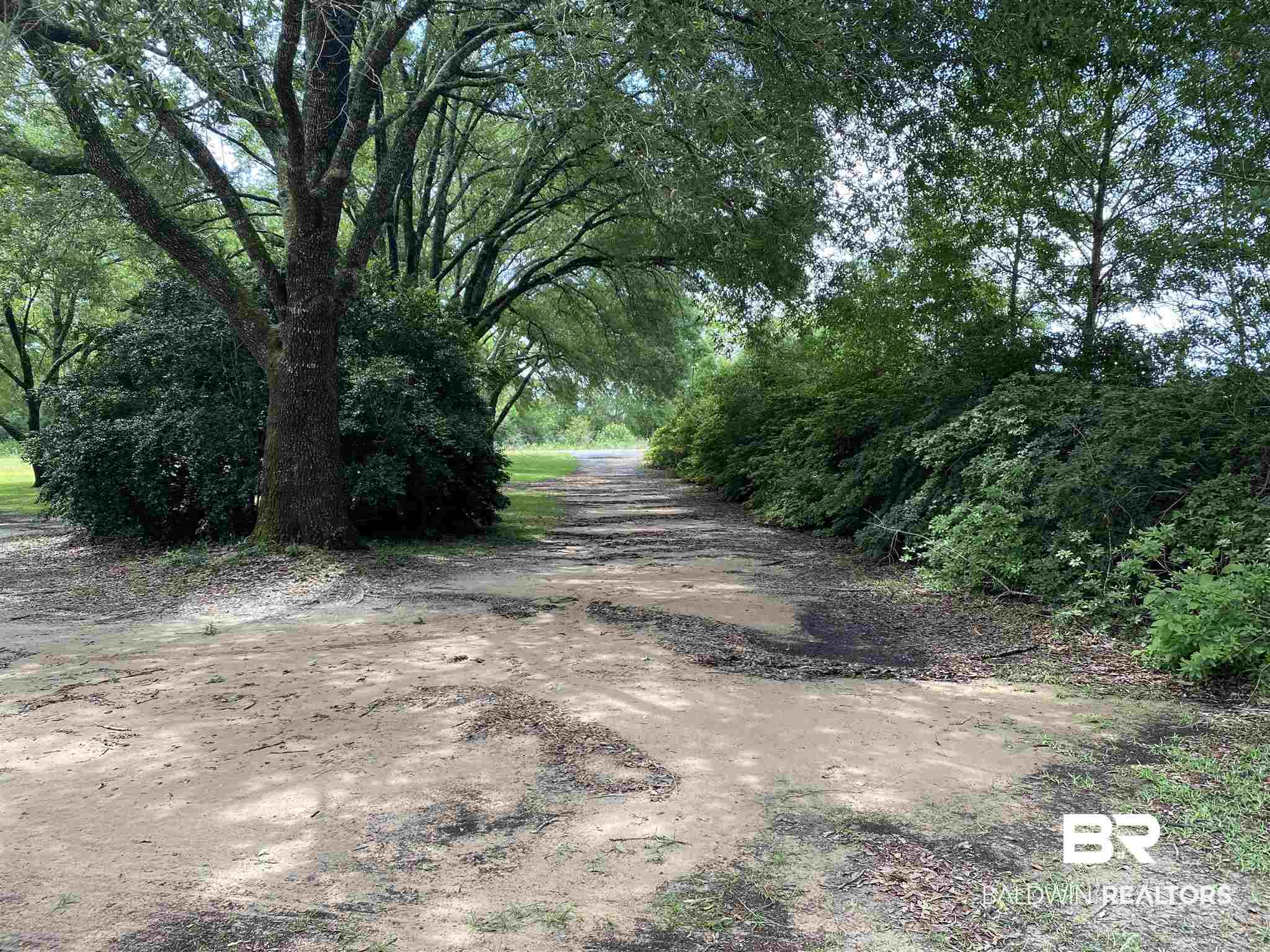 24551 Bretz Lane Elberta, AL 36530 - Photo 6 of 29