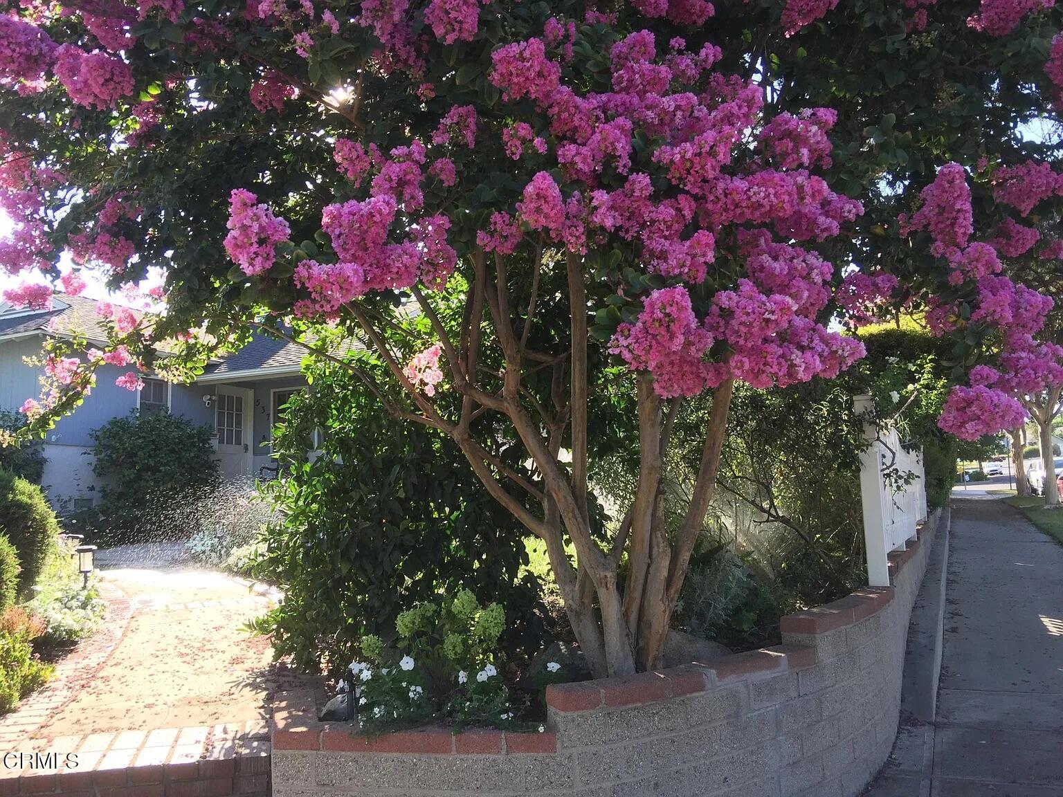 537 Jamestown Road Burbank, CA 91504 - Photo 29 of 32 jamestown 29