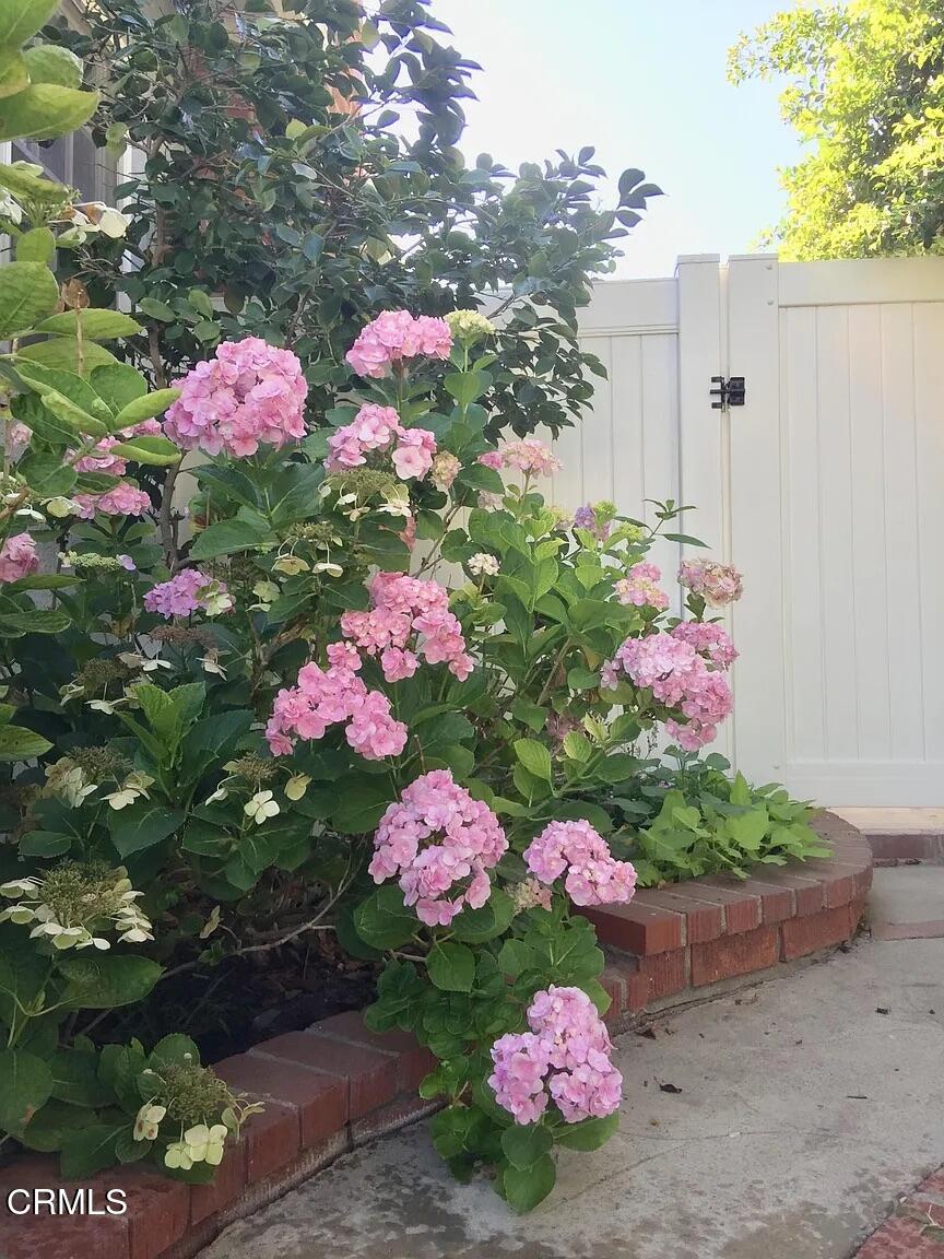 537 Jamestown Road Burbank, CA 91504 - Photo 30 of 32 jamestown 30