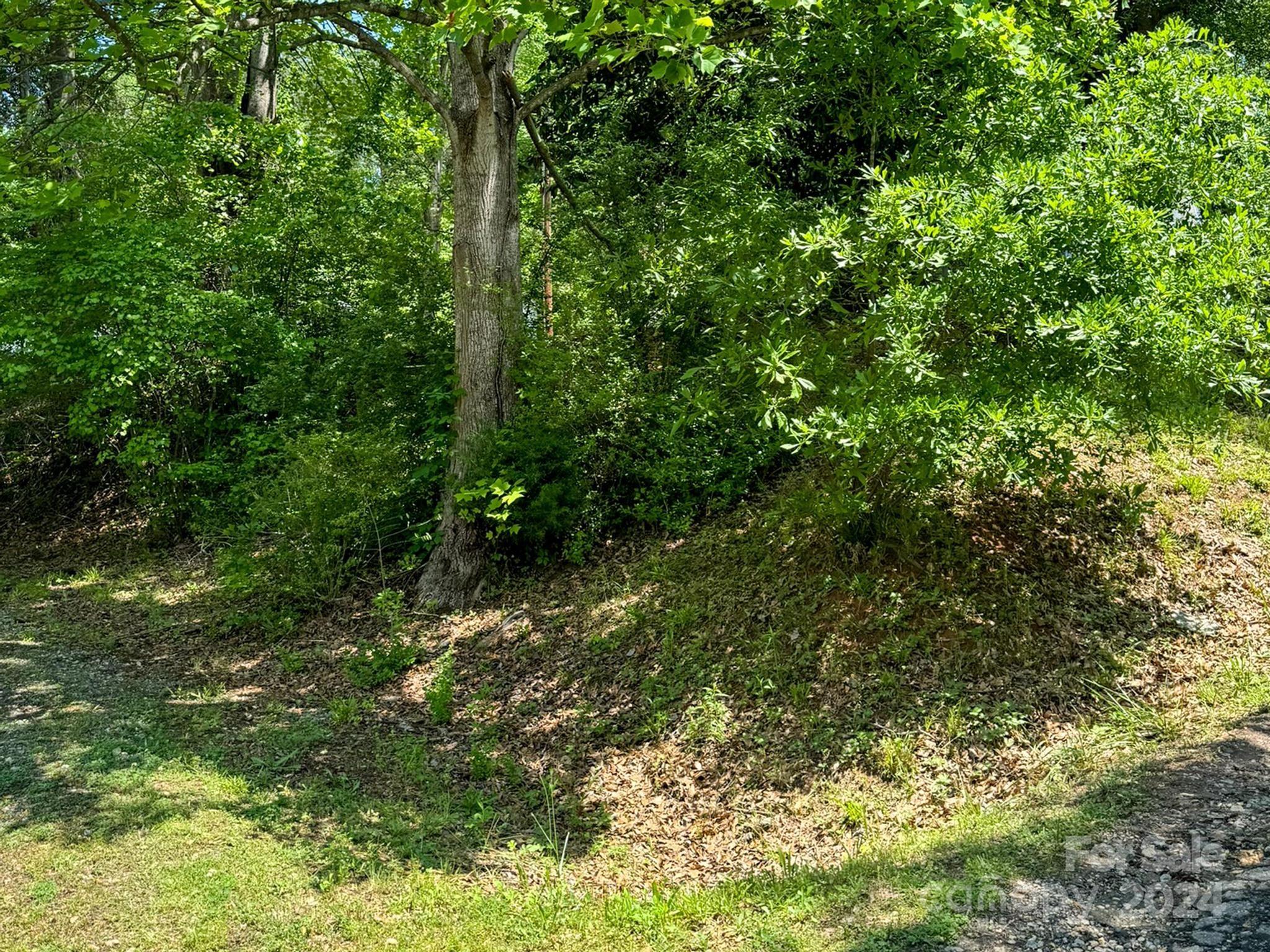 2048 Highway 221 Rutherfordton, NC 28139 - Photo 13 of 13