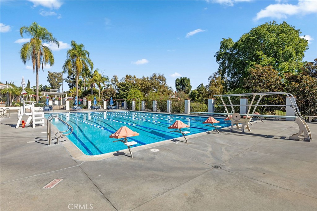 1981 Chevy Chase Drive Brea, CA 92821 - Photo 35 of 52 a view of a park with large trees