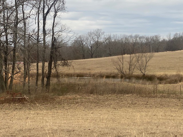 280 Red Hill-Center Road Lawrenceburg, TN 38464 - Photo 2 of 23 Gallery Image 2