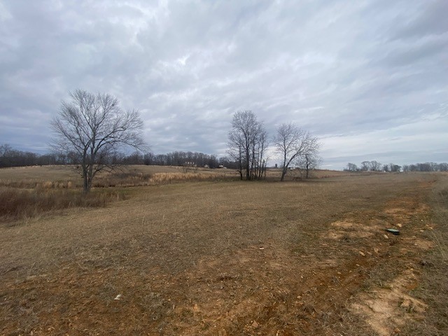 280 Red Hill-Center Road Lawrenceburg, TN 38464 - Photo 3 of 23 Gallery Image 3