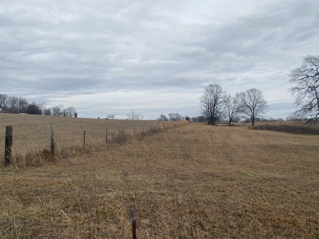 280 Red Hill-Center Road Lawrenceburg, TN 38464 - Photo 4 of 23 Gallery Image 4